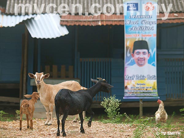 Picture Of Bagan pinang Village
