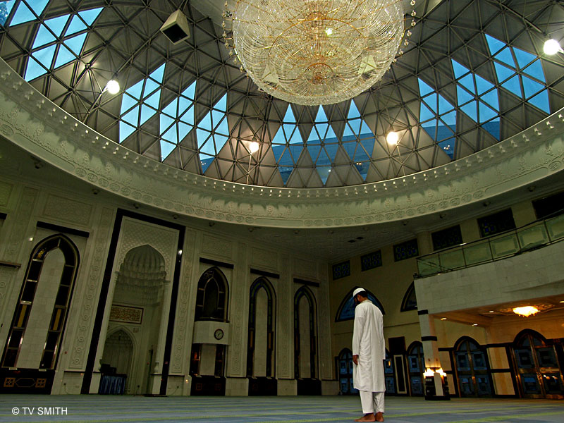 Under The Skylight Dome