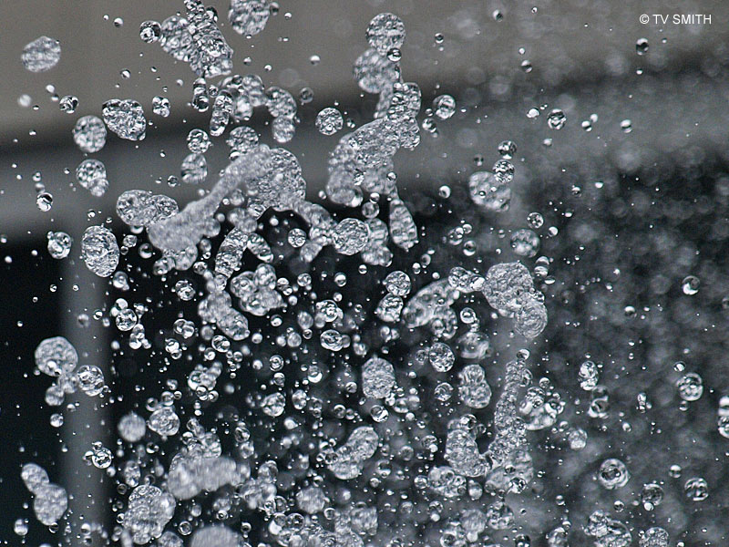 Pictures From Parliament