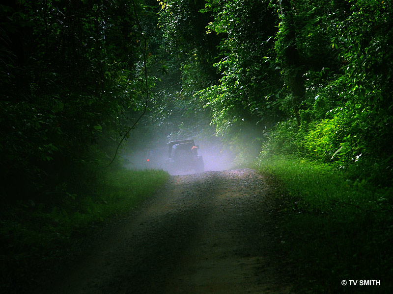 Into The Rainforest - Selai National Park - RFC Johor 2009
